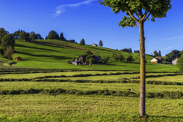 Organic labels at HOCHDORF Swiss Nutrition